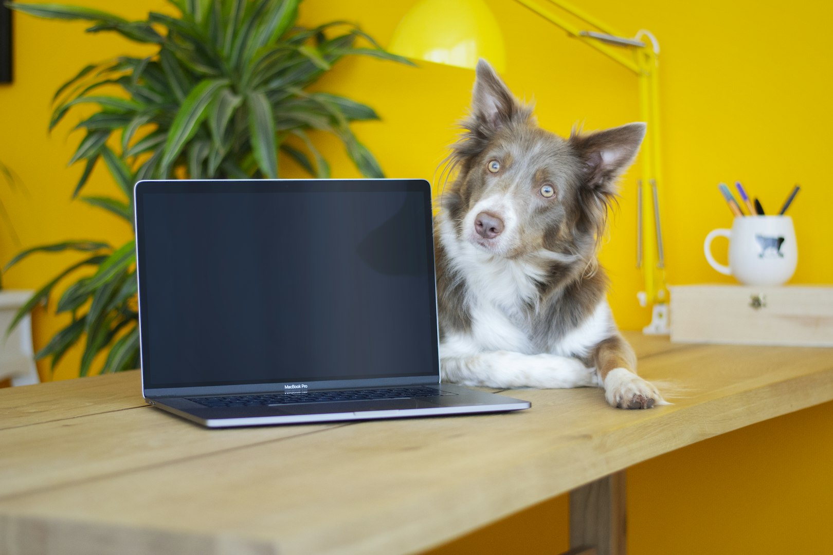 online, onlinekurs, online-kurs, 