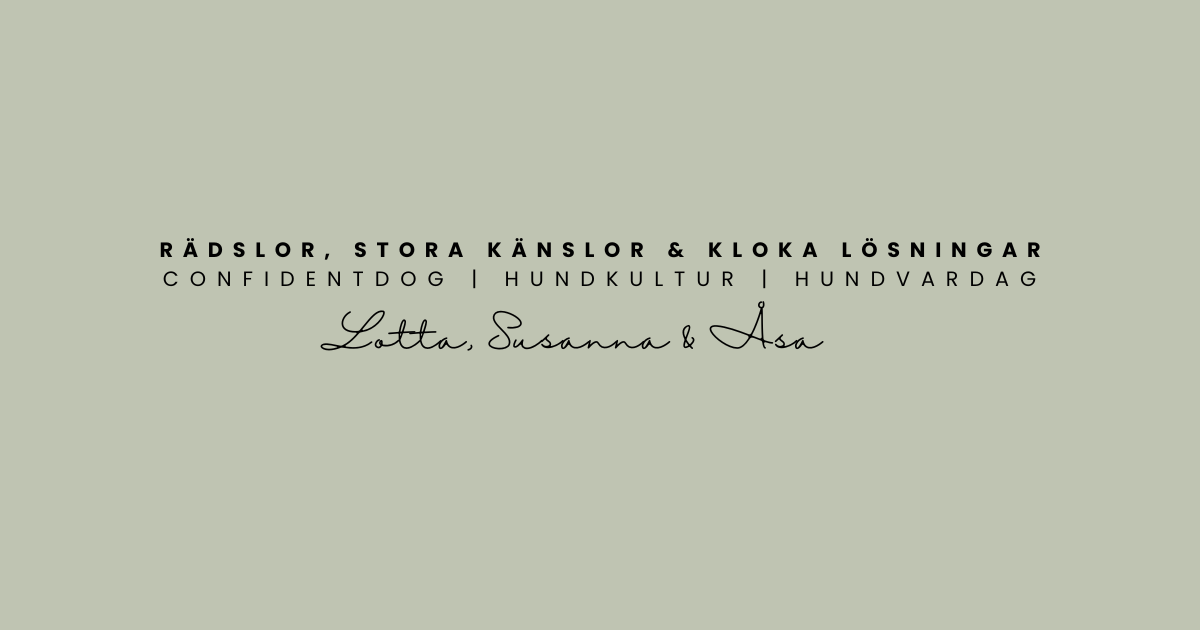 Rädslor, stora känslor & kloka lösningar