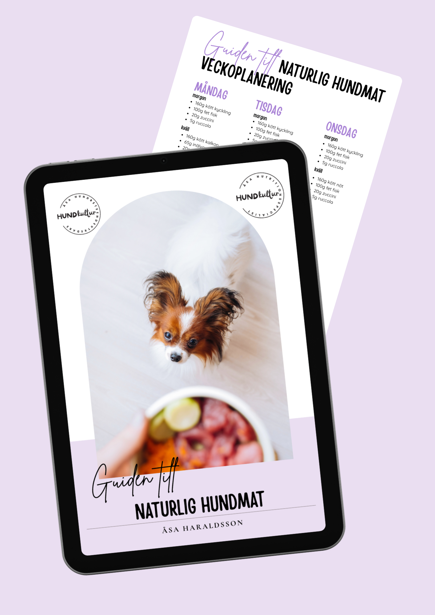 Foderguide, välja foder, fodersamtal, hundmatsnack, torrfoder, färskfoder, guiden till naturlig hundmat, minikurs